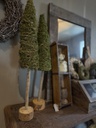 kerstboom mos